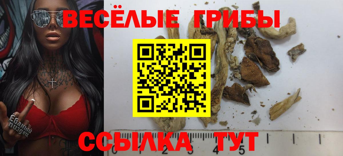 Галлюциногенные грибы Psilocybe  Псилоцибиновые грибы MAGIC MUSHROOMS  Вход с VPN  Дербент 