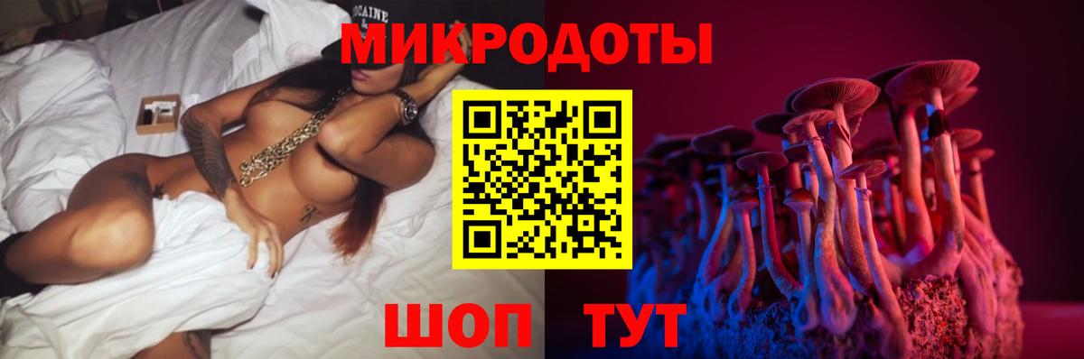 Псилоцибиновые грибы GOLDEN TEACHER Дербент